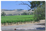 View from Visitors Centre