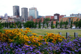 The City in flowers