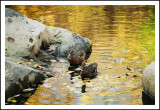 Couleurs dautomne