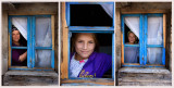 collage windows.jpg