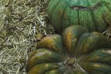 20071026 / patch