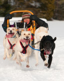 Course de traineaux  chiens (1), Ste-Agathe, 2010