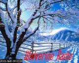 201001300356.jpg