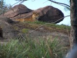 AK - Kilimanjaro Safari 16.jpg