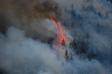 2008 Wildfires