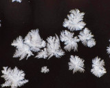 Snowflakes on the window of the Interpretive Centre...