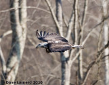 DSC_7528.jpg