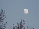 day full moon 2.jpg