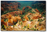 bryce-179-sm.JPG