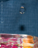 IMG_2874w.jpg