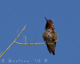 IMG_3385w.jpg
