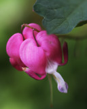 IMG_4739w.jpg