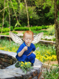 steviewings.jpg
