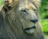 IMG_5652bc.jpg
