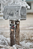 Winter Wonderland