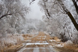 Winter Wonderland