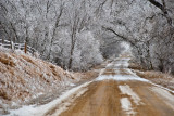 Winter Wonderland