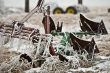 Winter Wonderland