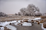 Winter Wonderland