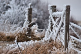 Winter Wonderland