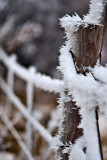 Winter Wonderland