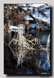 The object of reflection . . .