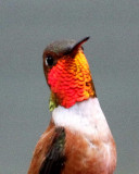 5-22 hb 0378.jpg