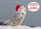Joyeuses Fêtes / Happy Holidays