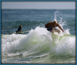 _DSC022210648surf.jpg