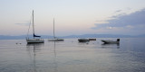 Friday multiple boats 12 x 6.jpg