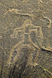 hawaiian petroglyph