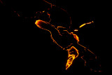 lava flow at night