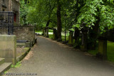 _MG_6383.jpg