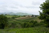 _MG_6561.jpg