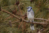 IMG_3756.jpg