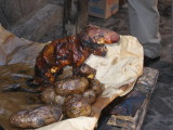 Cuy (guinea pig) - the local favorite