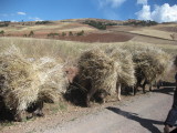 enroute to the Salinas (salt mines) of Moray