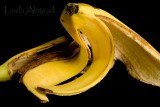 26th March 2009 - lifes banana skins