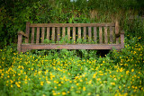 17th June 2009 - breathing spaces
