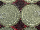 14th October 2007 - canned