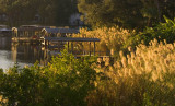 Up the Eau Gallie River