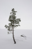 Ladoga lake