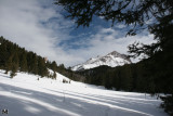 January - Sphinx Mountain, Montana