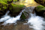 Ramona Falls Hike 3