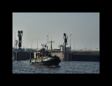 Boats016-IJmuiden