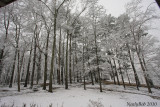 Its Snowing