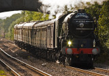 Tornado on the GWR.jpg