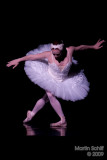 Orlando Ballet Company Dress Rehearsal March 26, 2009
