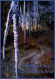 Labaque Creek Conservation Area