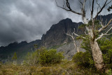 storm streaming over Cradle Mt.